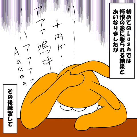 ラッシュ扉1