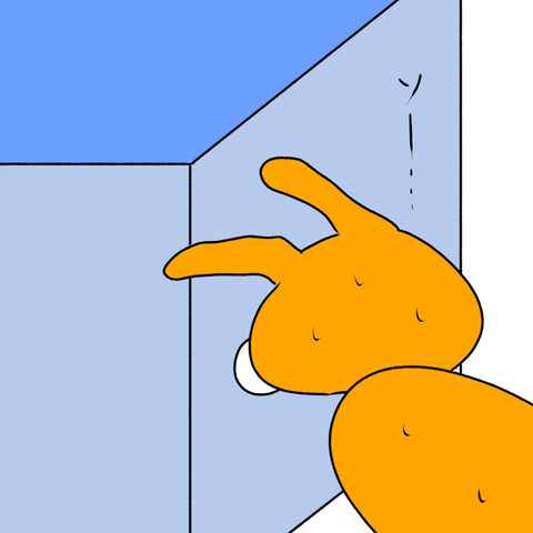 アシダカ３
