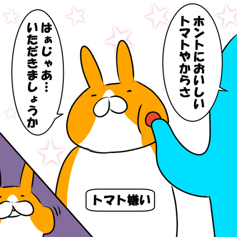 ミニトマト６