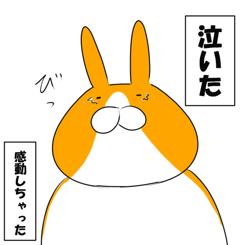 しゃち7