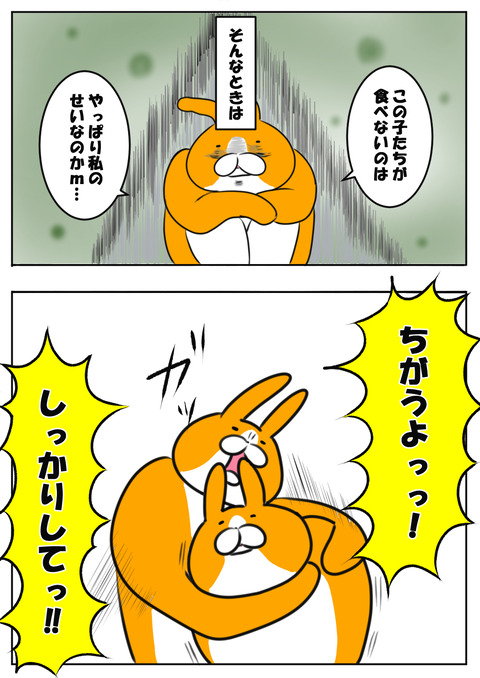 １６