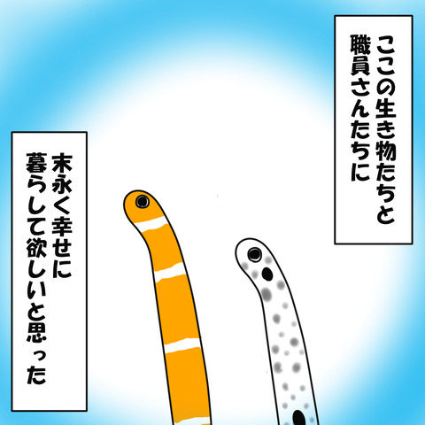 しゃち１２