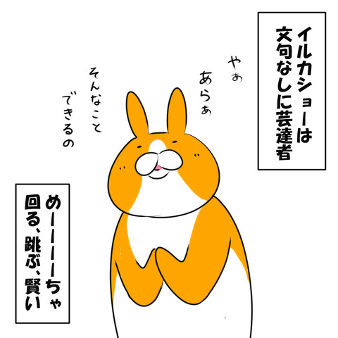 しゃち10