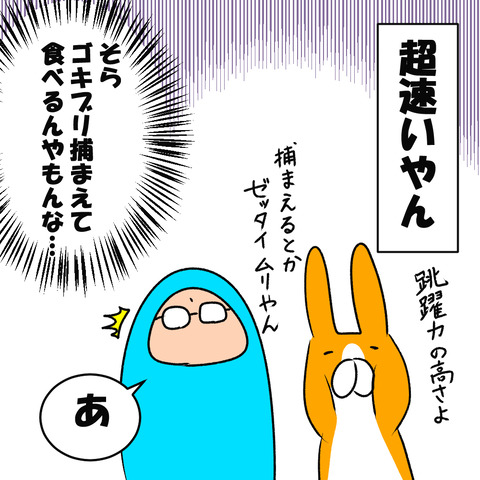 アシダカ１３
