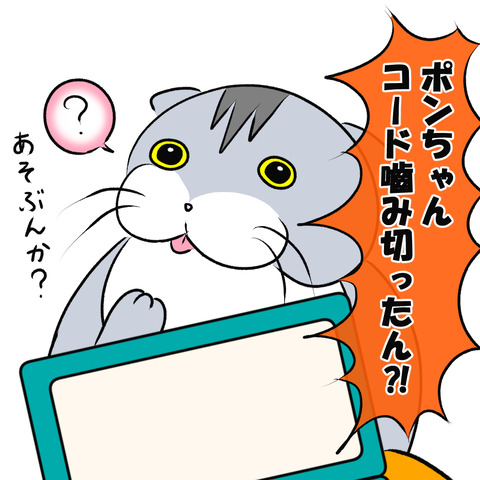 かみかみ５