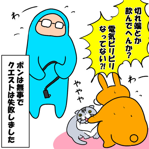 かみかみ６