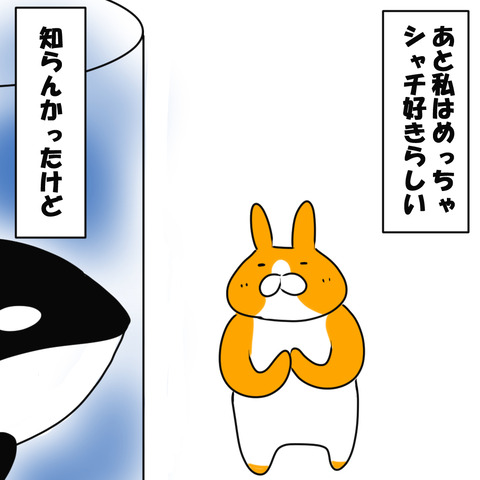 しゃち8