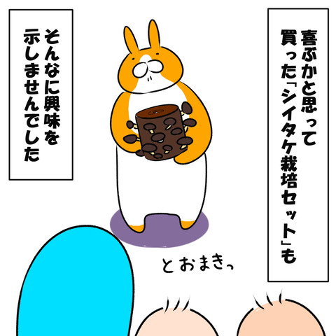 きのこおまけ２