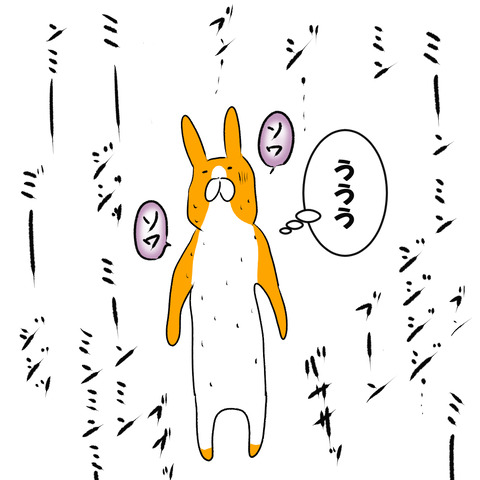 蝉取りおまけ１
