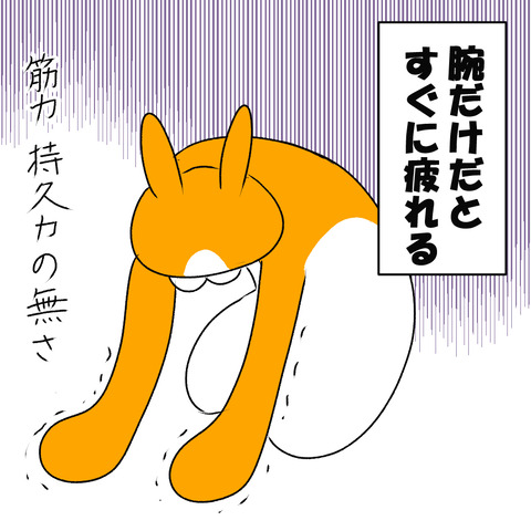 ラッシュコツ5