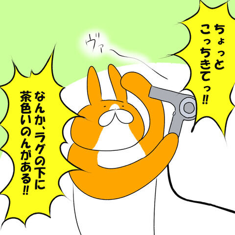 コウモリ1