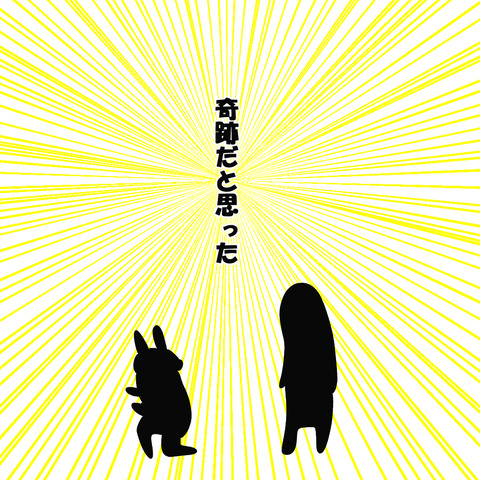 薬局ゲロ8