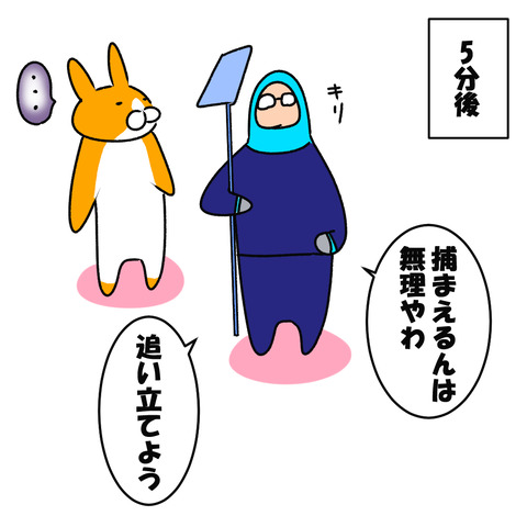 アシダカ１５