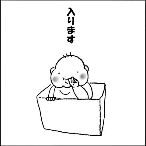 箱入り2
