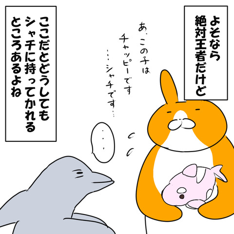 しゃち１１