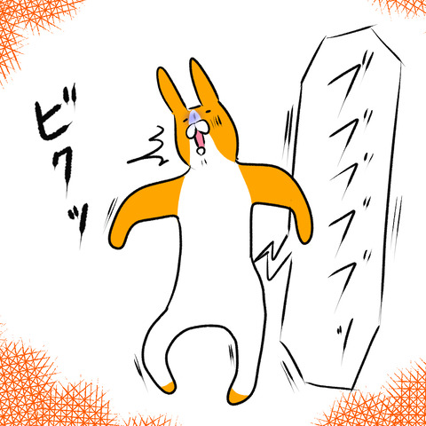 蝉取りおまけ２
