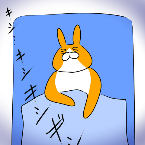 ねぞう１.2