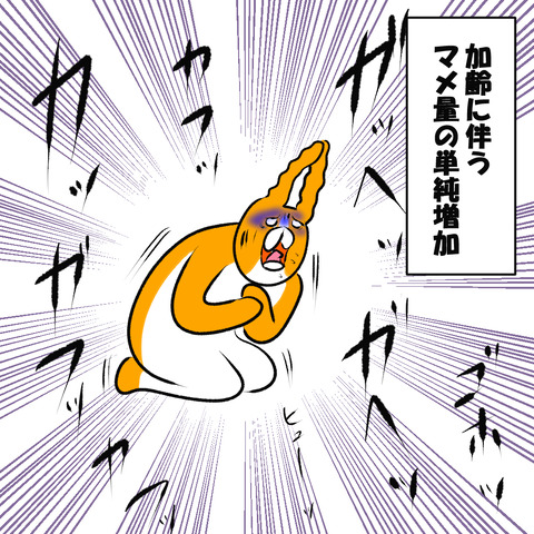 節分５.5