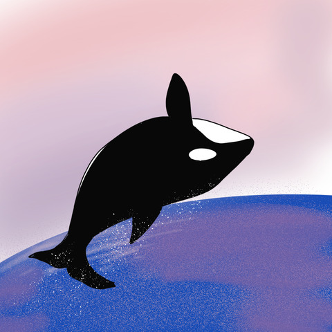しゃち4