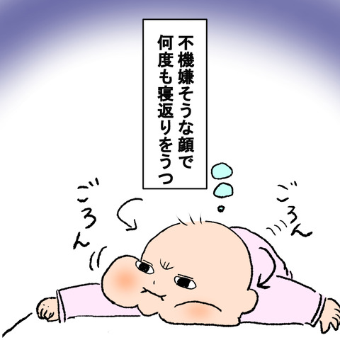 ぶどー1