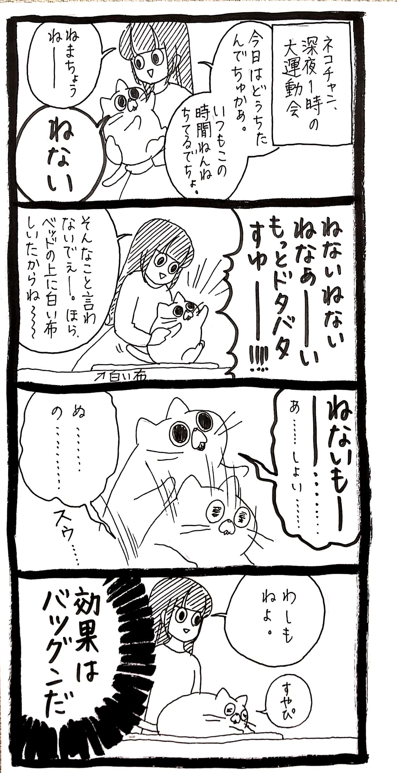 白い布の不思議な力 ネコチャンのニンゲン育成日記 Powered By ライブドアブログ 白い布の不思議な力 ネコチャンのニンゲン育成日記 Powered By ライブドアブログ