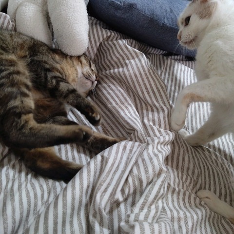 23-03-27-08-28-49-091_photo