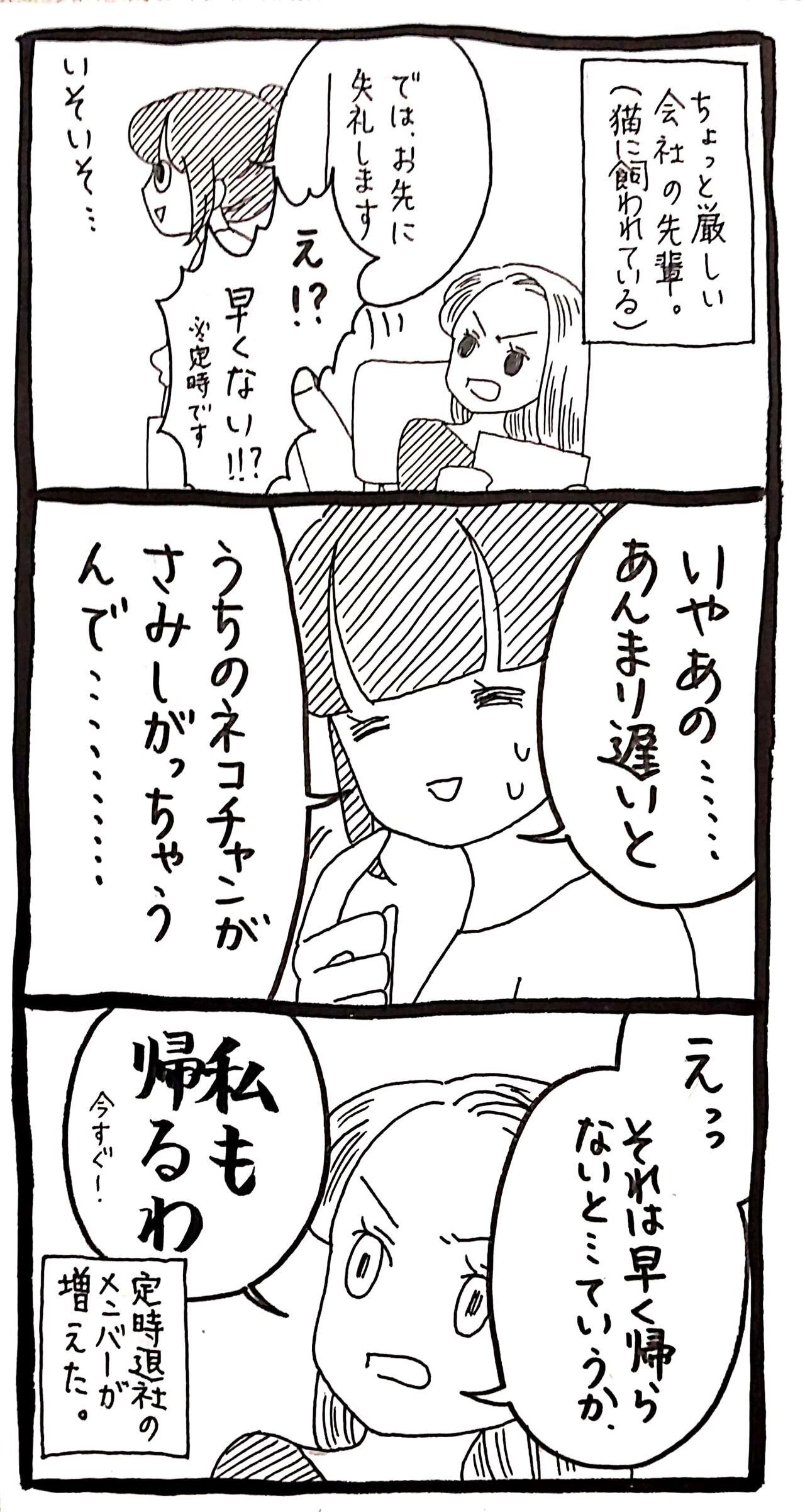 ﾆﾝｹﾞﾝは定時に帰宅する ﾈｺﾁｬﾝのﾆﾝｹﾞﾝ育成日記 Powered By ライブドアブログ
