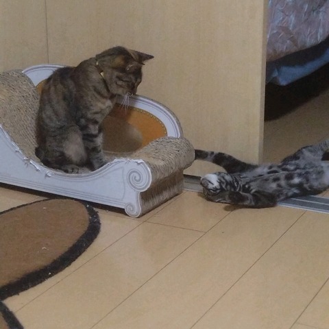 24-06-29-22-52-16-931_photo