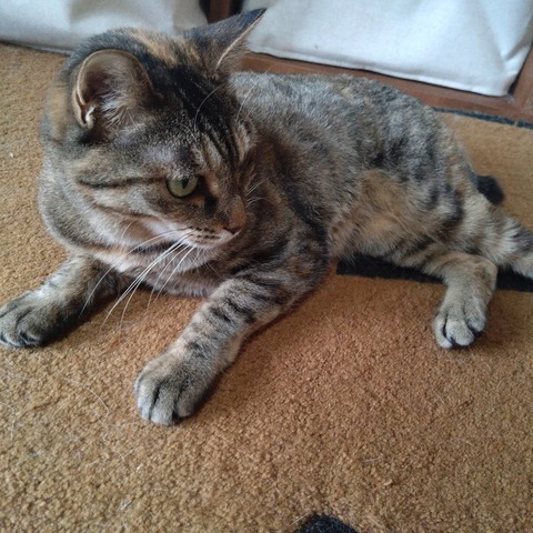 24-07-09-10-01-56-984_photo