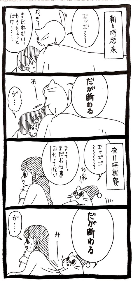 だが断る ﾈｺﾁｬﾝのﾆﾝｹﾞﾝ育成日記 Powered By ライブドアブログ