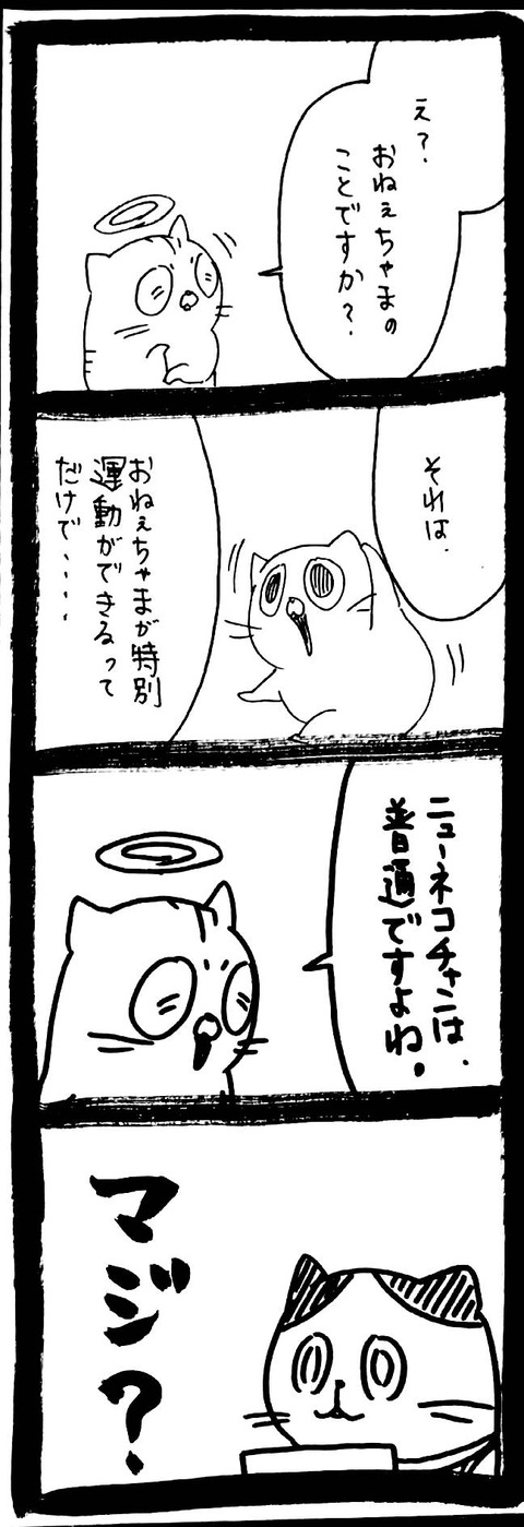 ネコチャンページ NNNの匠の技68 : ﾈｺﾁｬﾝのﾆﾝｹﾞﾝ育成日記 Powered by ライブドアブログ