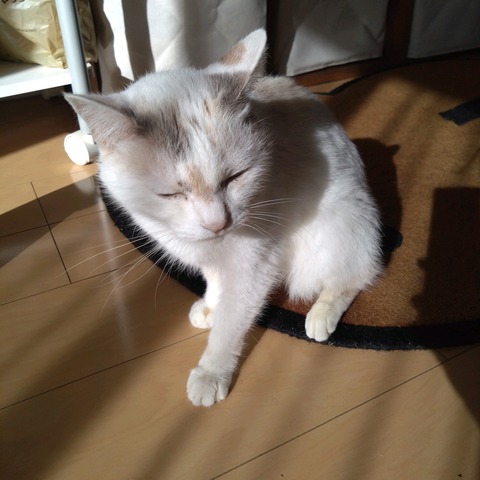 23-11-20-09-28-43-985_photo