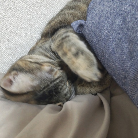 22-07-23-18-22-00-277_photo