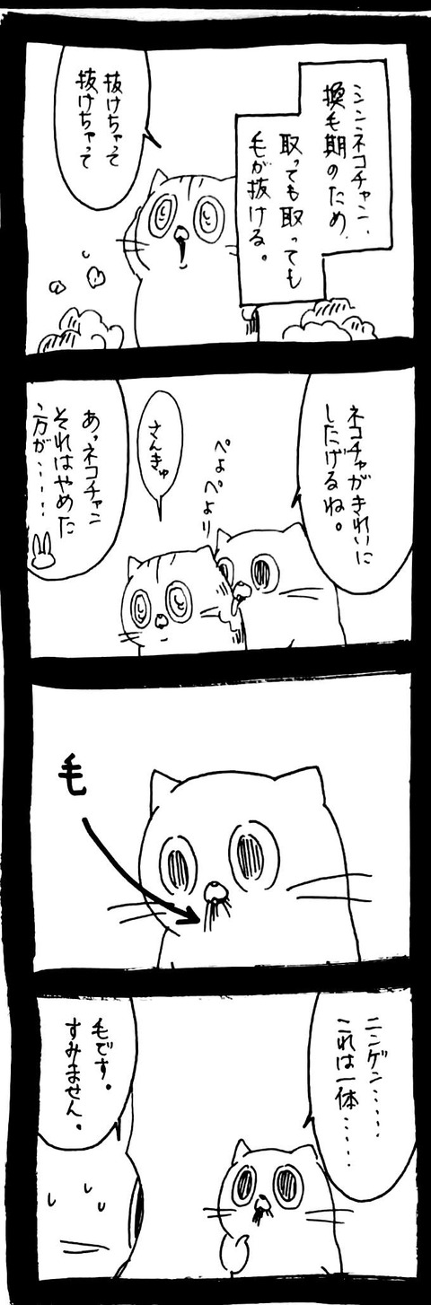 54