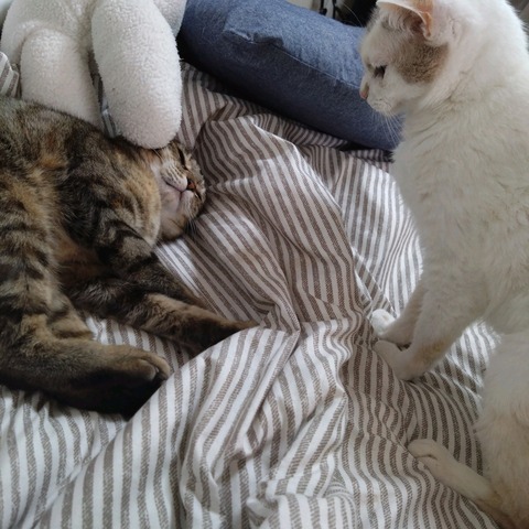 23-03-27-08-28-59-557_photo