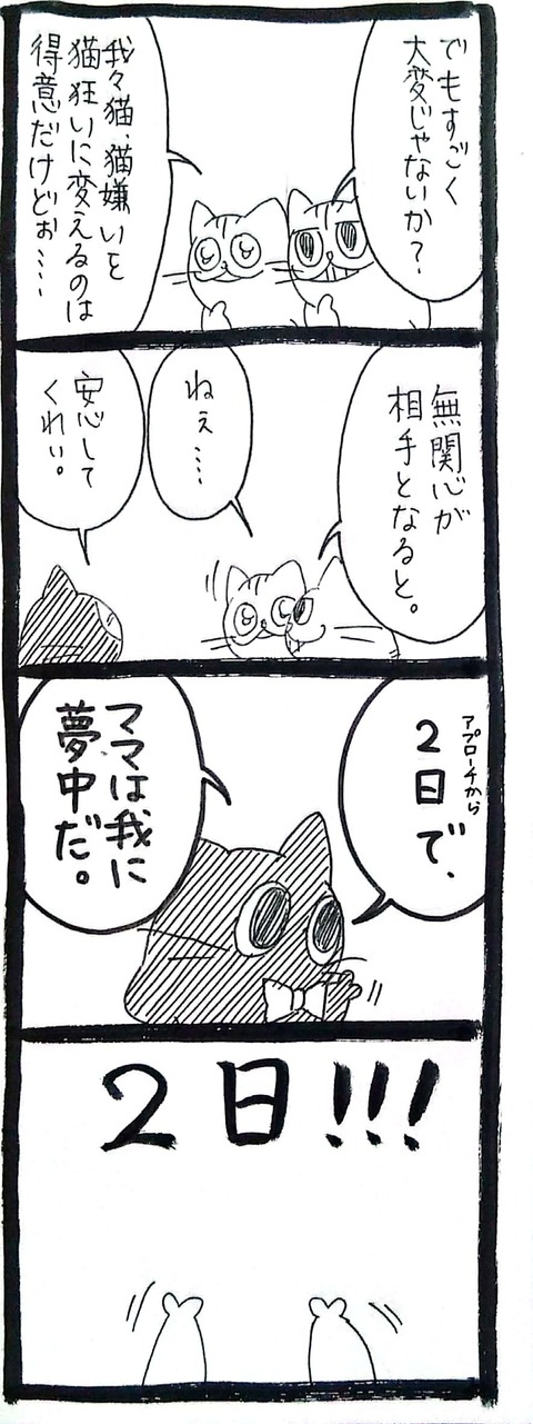CamScanner 2023-07-13 06.55_3