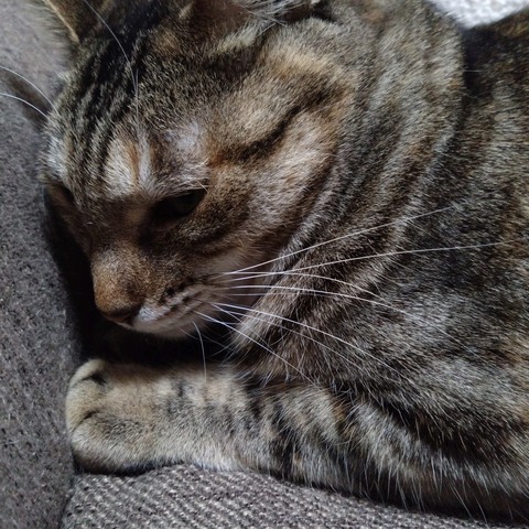 23-02-13-21-52-47-355_photo