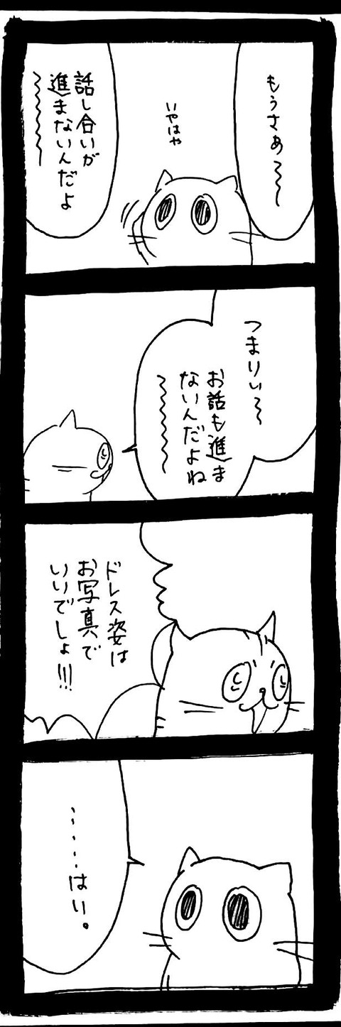 48_2
