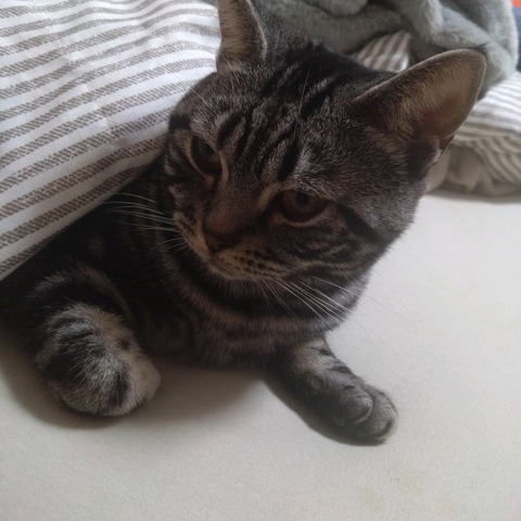 25-01-24-23-47-11-487_photo