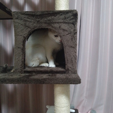 24-03-31-21-59-59-452_photo