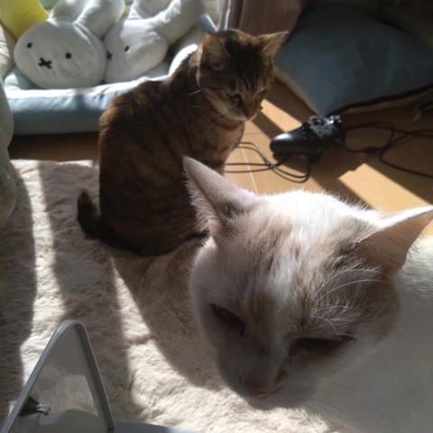 24-01-27-11-13-19-152_photo