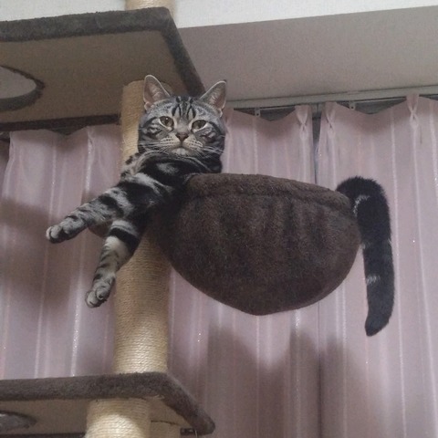 25-10-28-22-37-48-242_photo