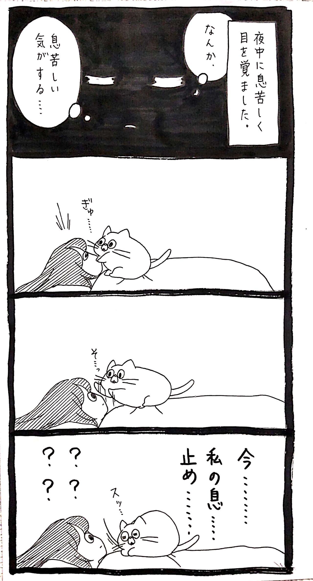 ﾈｺﾁｬﾝは押さえたい ﾈｺﾁｬﾝのﾆﾝｹﾞﾝ育成日記 Powered By ライブドアブログ