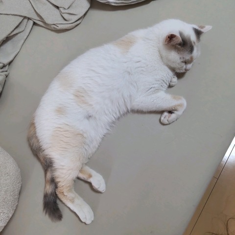 22-07-05-13-07-30-713_photo