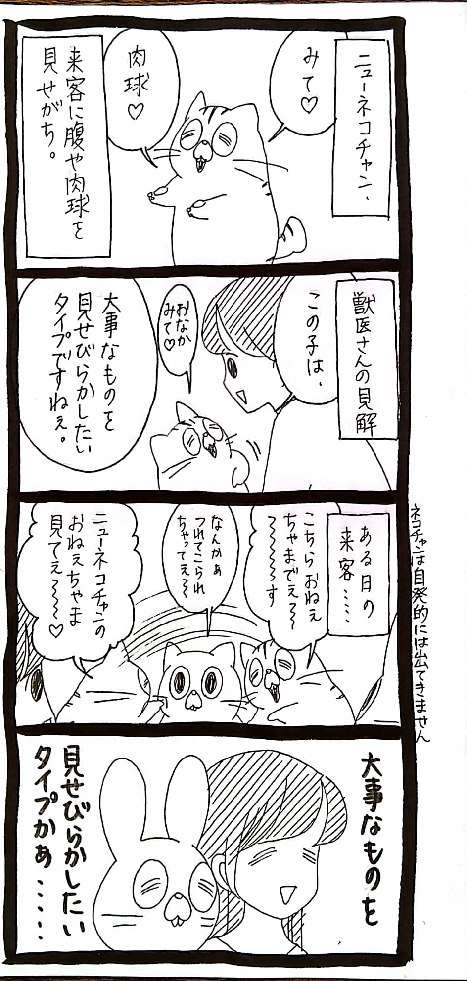 和仁達也 脱☆ドンブリ経営!実践セミナーDVD データCDとテキスト付き