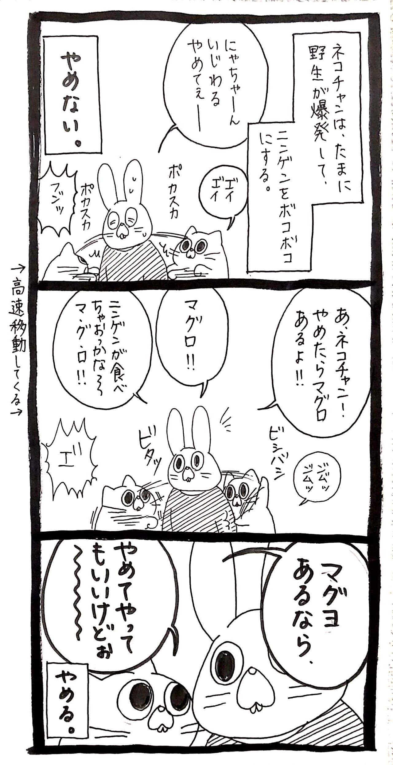 ﾈｺﾁｬﾝ ﾆﾝｹﾞﾝぽかすかするとマグヨでてくるんだよね ﾈｺﾁｬﾝのﾆﾝｹﾞﾝ育成日記 Powered By ライブドアブログ