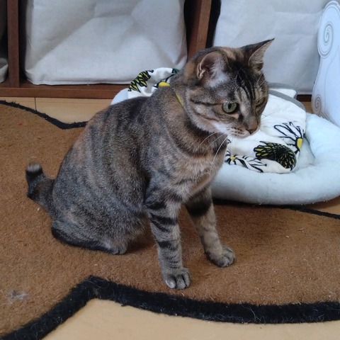 24-07-22-13-00-19-742_photo