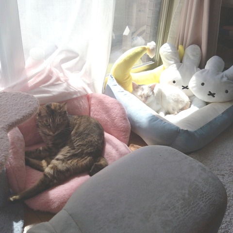 23-09-19-12-35-54-090_deco