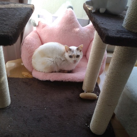 24-03-15-15-23-11-067_photo