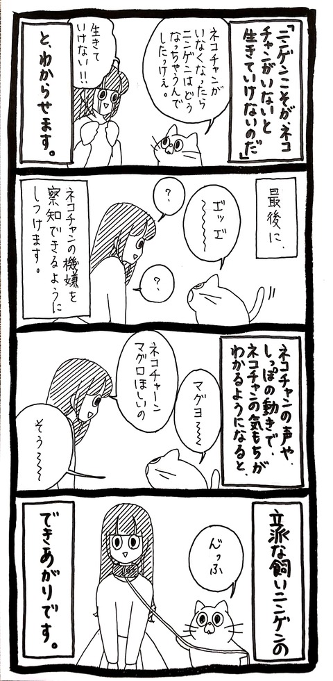 51_3